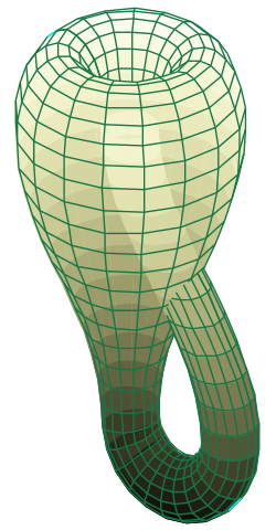 Klein bottle fundamental square