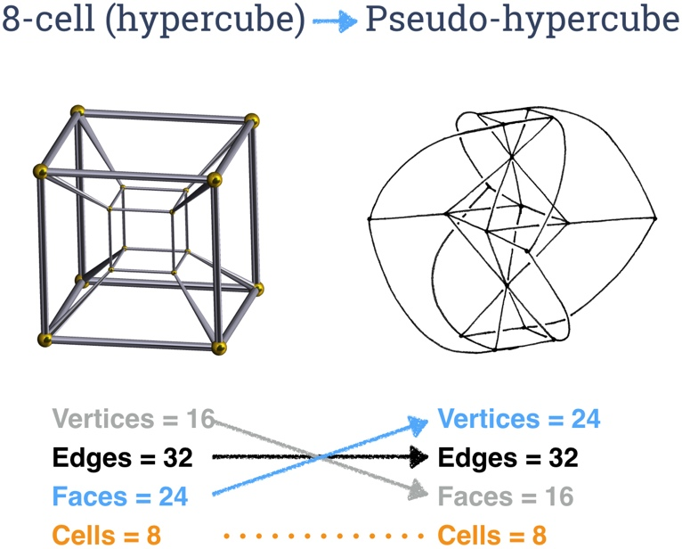 8 cell